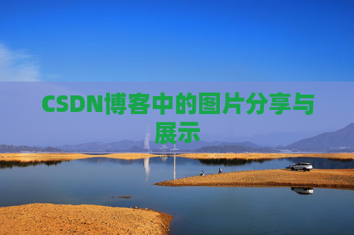 CSDN博客中的图片分享与展示